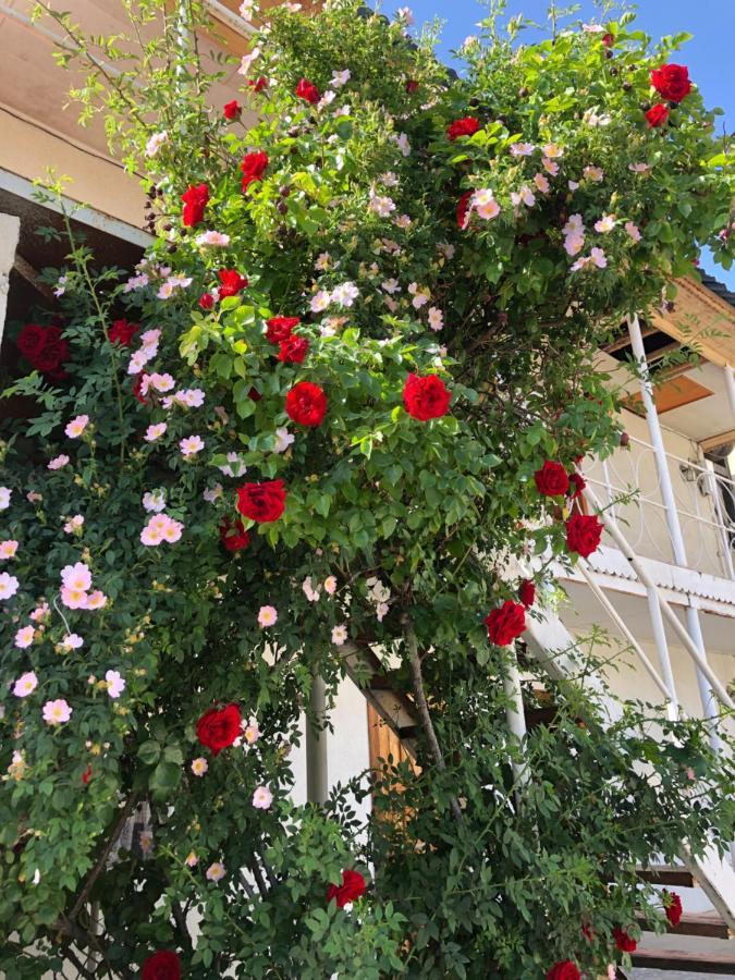 Гостевой Дом Айша Guest House Aisha Чолпон-Ата Экстерьер фото